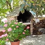 Bilo 9467d